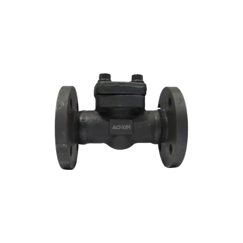 AckaM High Temperature Control Check Valves for General Applications Durable and Reliable Check Valves