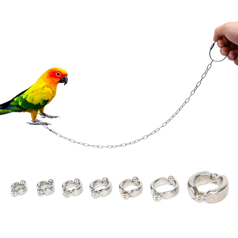 Stainless Steel Parrot Leg Ring with Chain Bird Ankle Foot Chain Ring Anti Bite Wire Rope Outdoor Flying Training Accessories