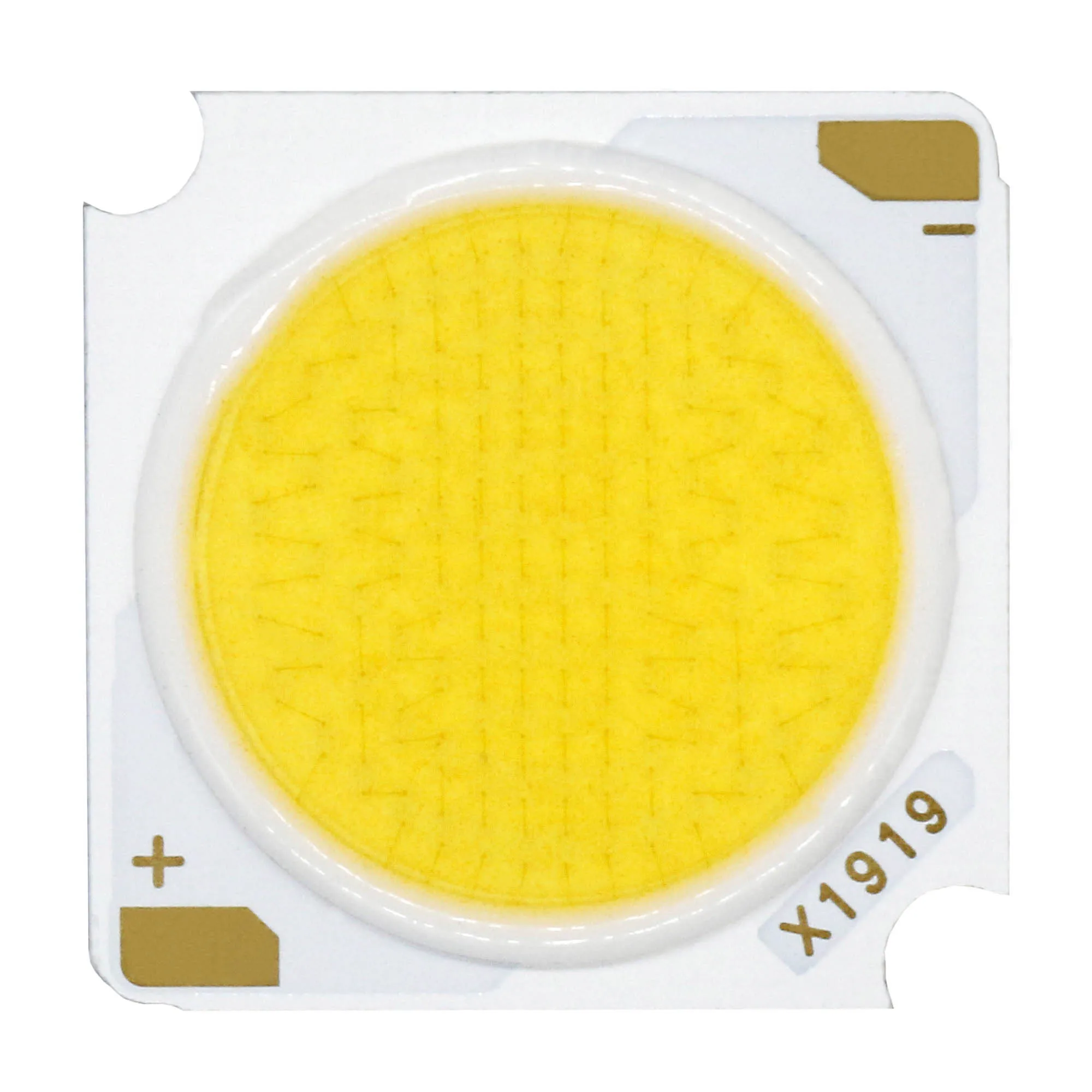 

5000K LED COB CRI≥90 High Lumen LED Diode Bridgelux Chip 10W 20W 30W 40W 50W 19*19mm LED Spotlight Downlight repair parts