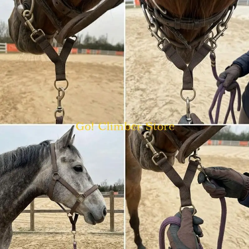 Q84C Horse Training Strap for Routine Guiding, Nylon Webbing with Double Snap Clips and Center Loop for Stable Use Tasks