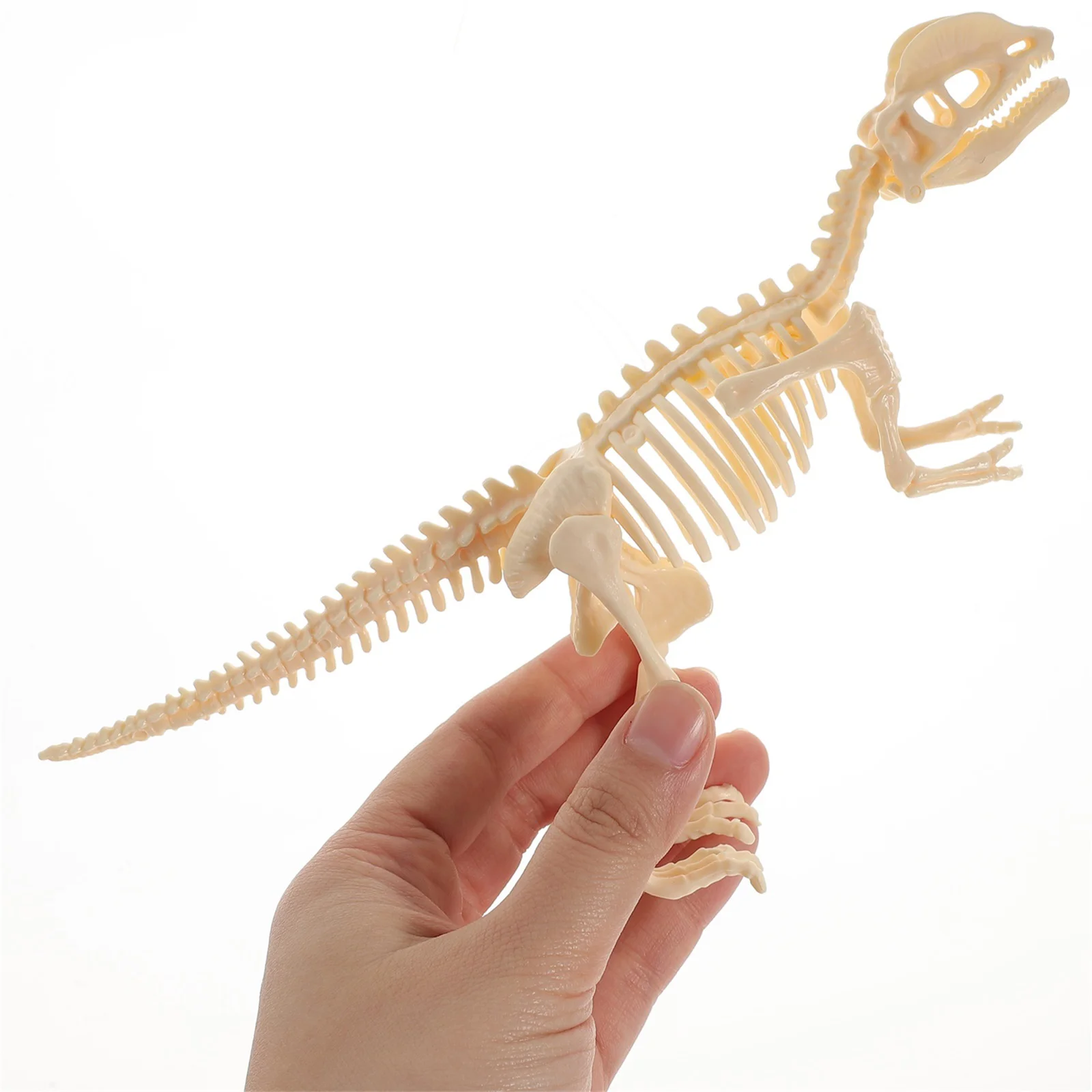 7Pcs DIY Dinosaur Assembly Toy Dinosaur Model Dinosaur Skeletons Boys Dinosaur Gift Set dinosaurs