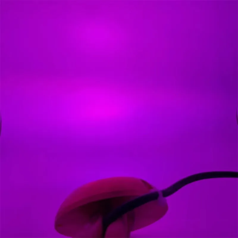 New Bronze Material DC12V DC24V 60W RGBW Light Emitting Diode Underwater Light