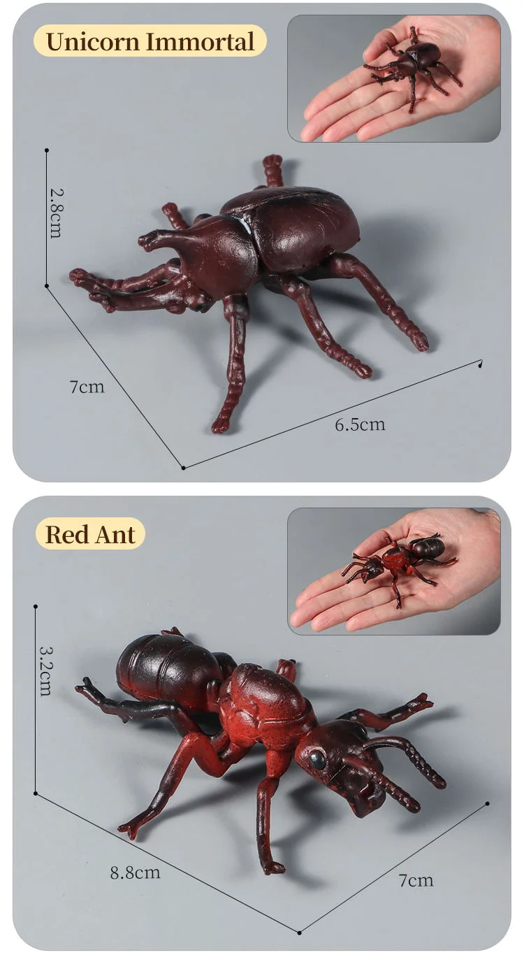 Pädagogisches Insekten-Tiere-Modell-Spielzeug-Set mit Schmetterling, Biene, Libelle, Mantis, Ameise, Schnecke, Actionfiguren für Kinder, Sammlung, Dekoration – Detail 9