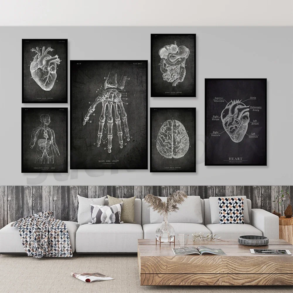 Heart body anatomy, brain poster print, structure decorative wall art poster