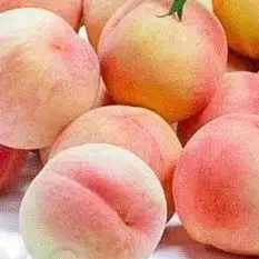 

Vegetable Cassava Potato Carrot Ginger Cleaning Washing Peeling Machine With Impurity Polishing Function