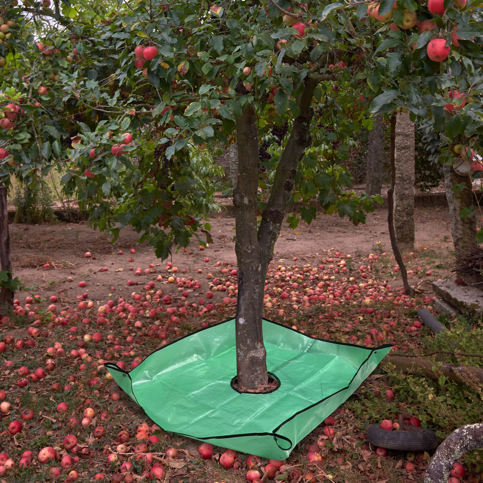Landscape Tarp with 7.9 Inch Center Hole and Four Corner Buckles Bush Trimming Tarp for Easy Fastening and Leaf Collection