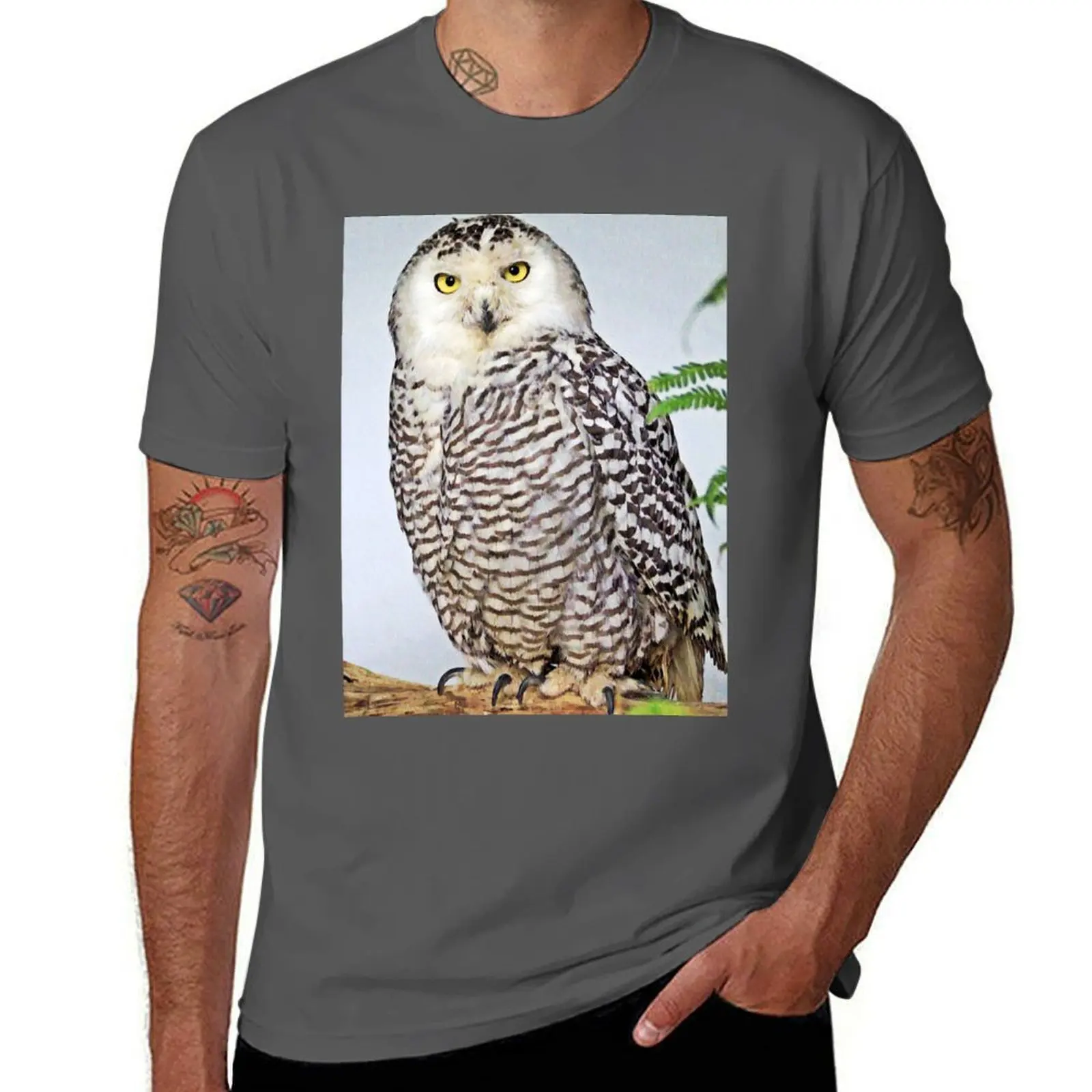 

Wizard Owl - Owl Snowy - The scandiacus Bubo T-Shirt Trendy Print Short Sleeve T-Shirt