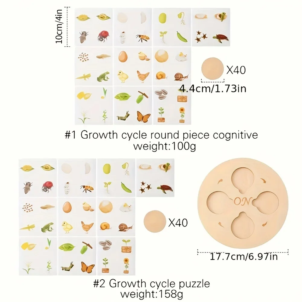 목제 라이프 사이클 보드 몬테소리 키트, 성장 사이클 라운드 피스 인지, 어린이 생물 과학 교육 완구, 1 세트