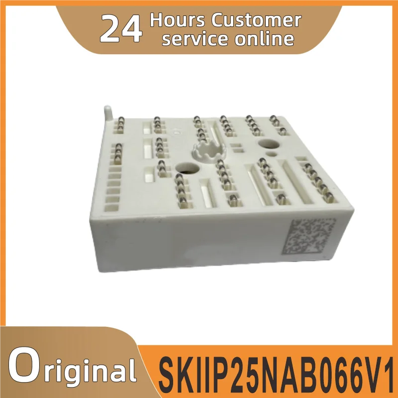 

Original power module SKIIP25NAB066V1.