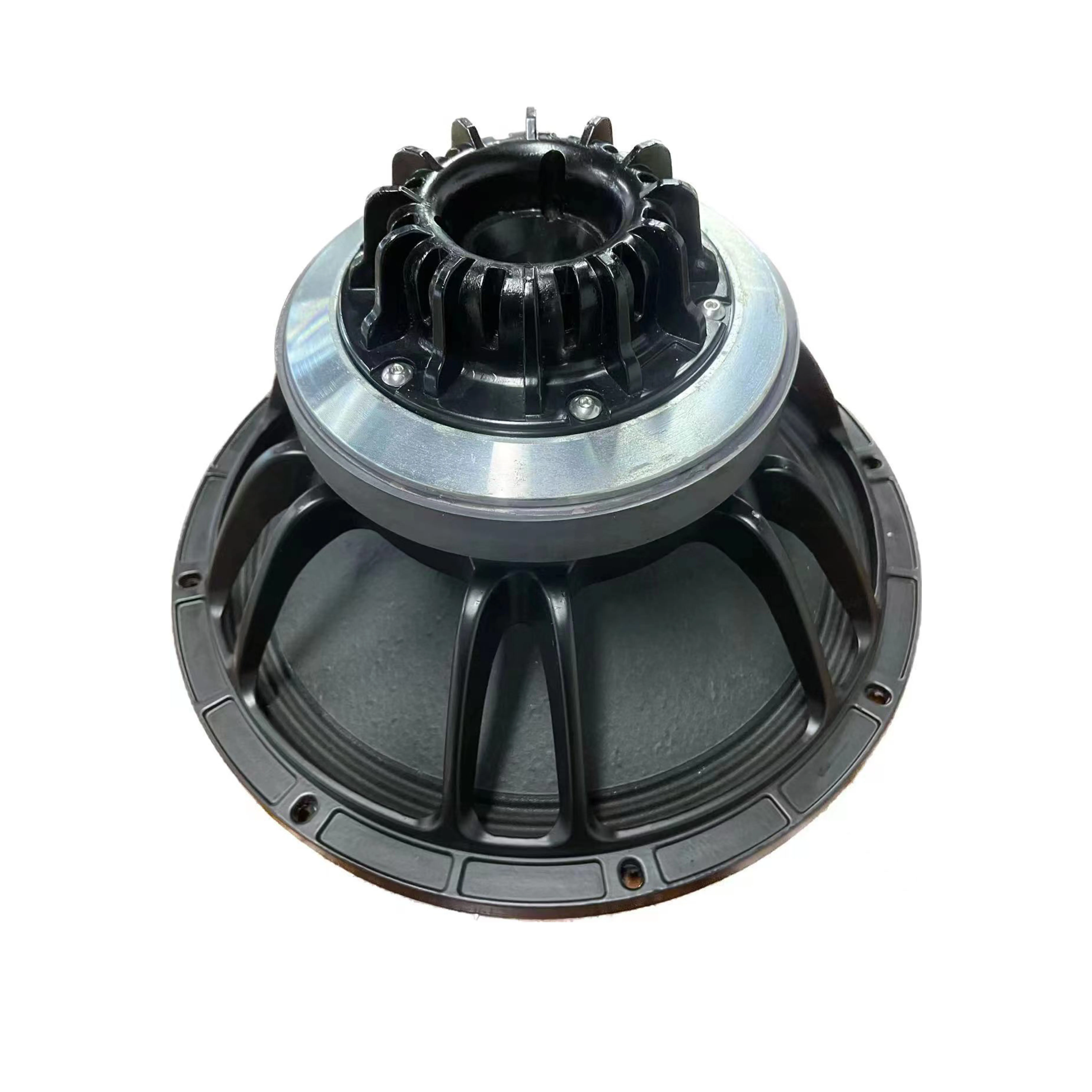 

12 Inch High Power Professional Mid Bass Woofer - Dual 65mm Voice Coil, 2000W Outdoor Speaker for PA System