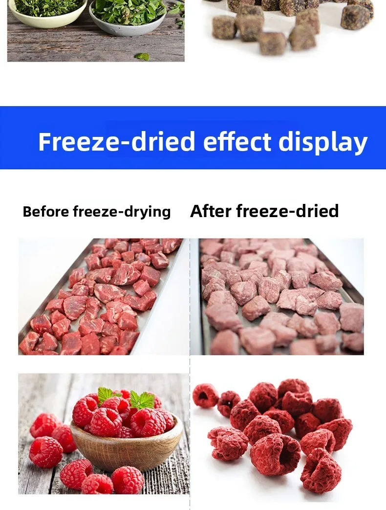 Household & Commercial Freeze Dryer Machine, Vacuum Lyophilizer for Cordyceps, Pet Food, Fruits & Food Drying view 5