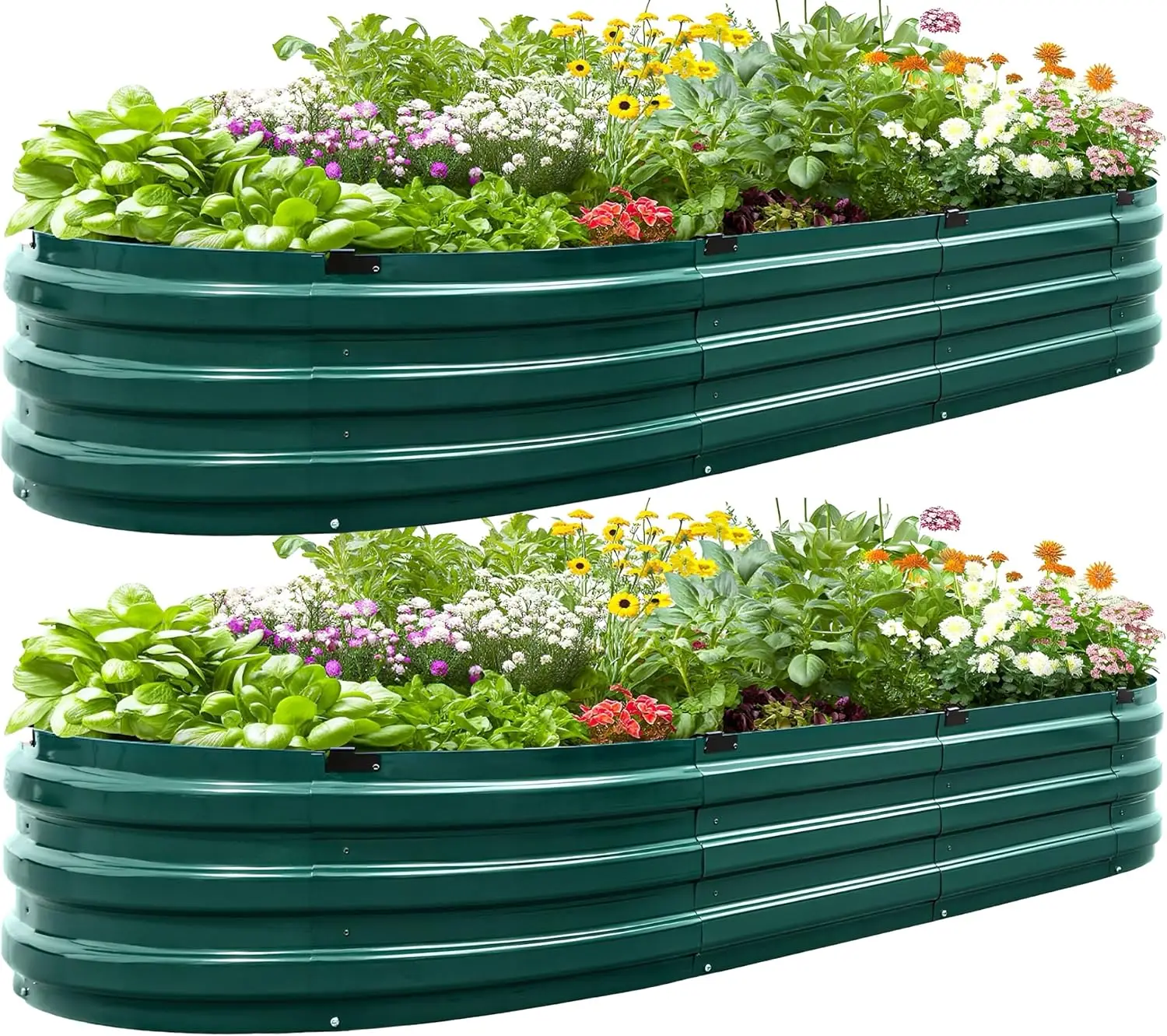 

Raised Garden Bed Kit 2025 Upgraded Quick-Setup Galvanized Planter Garden Box Outdoor for Gardening, Vegetables, Flowers, 74x36x