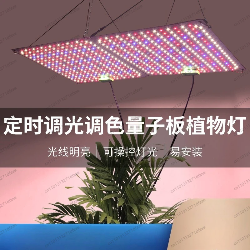 Timed Dimming and Color Dimming Quantum Board Plant Growth 65W 120W Succulent Flower Fill Lighting Tool
