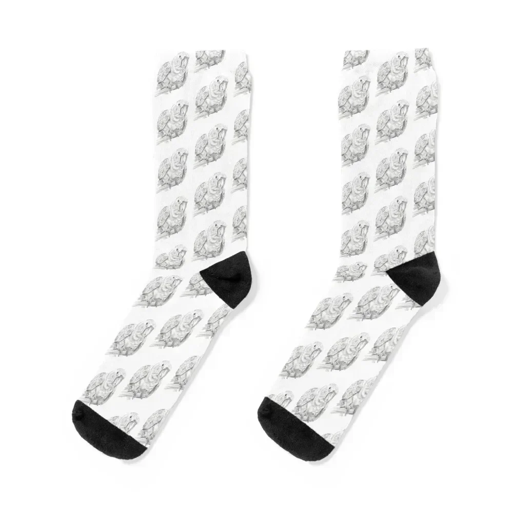 

Golden conure - graphite version Socks retro custom sports professional running winter Luxury Woman Socks Men's