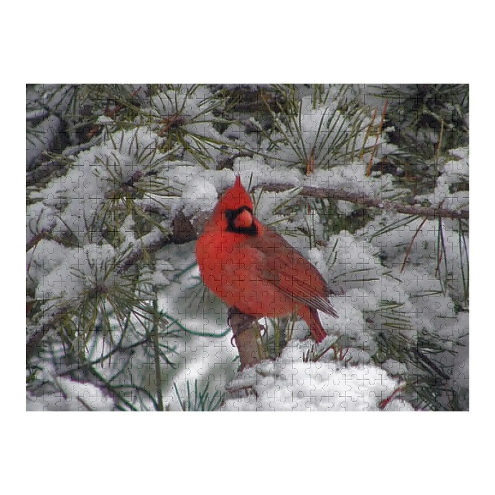 

Cardinal Jigsaw Puzzle Toys For Children Personalized Kids Gifts Puzzle