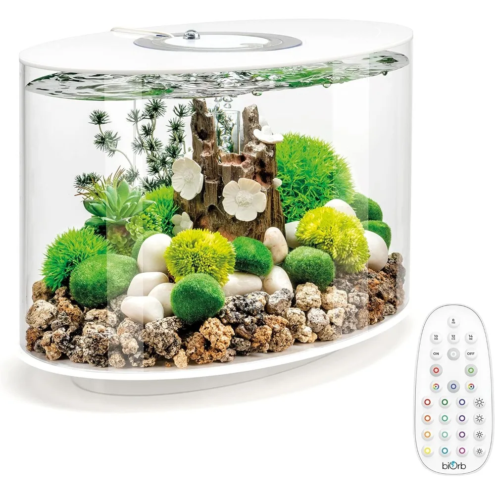 

4-Gallon Aquarium with Multi-Color Remote-Controlled LED Lights Modern Compact Tank for Tabletop or Deskto