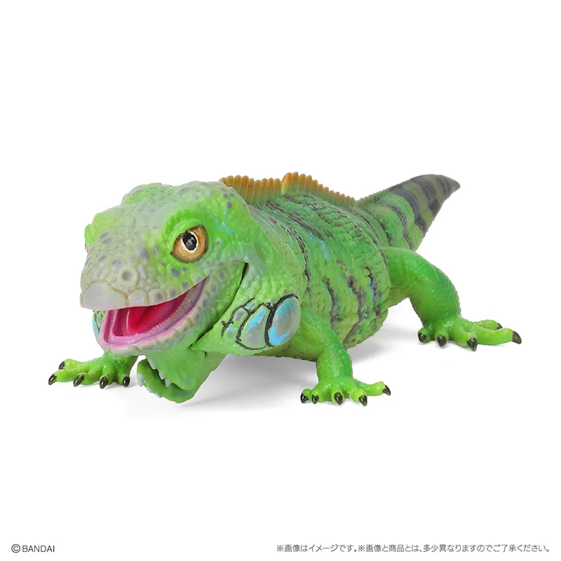 Original Bandai Gashapon Big Biological Map Lizard Ciliary Horn Gecko Qversion Animal Action Figure Model Toys Gifts Collection