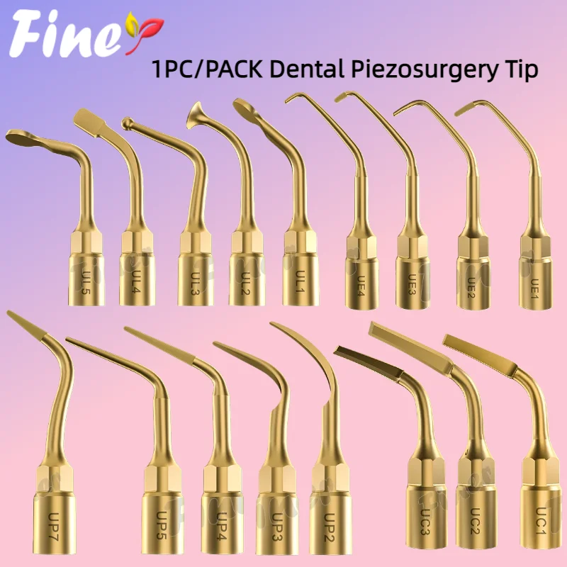 

Finer 1Pcs Dental Piezosurgery Tip Endodontic Tip Ultrasonic Bone Cutter Exelcymosis Dental Surgery Tip Fit Mectron Woodpecker