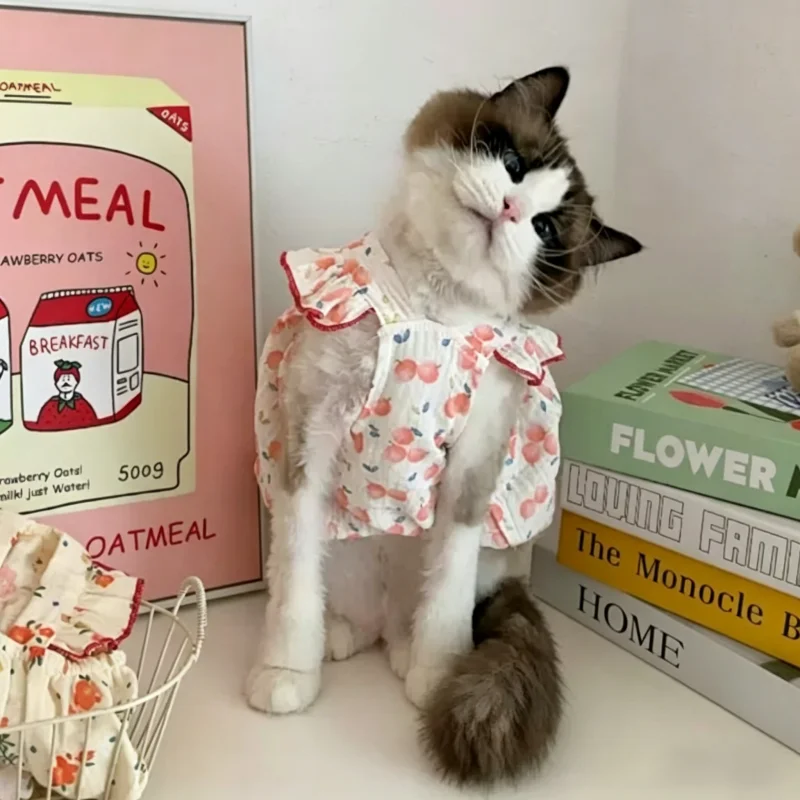 Ropa de verano para perros y gatos: vestidos, faldas, chalecos - imagen 2