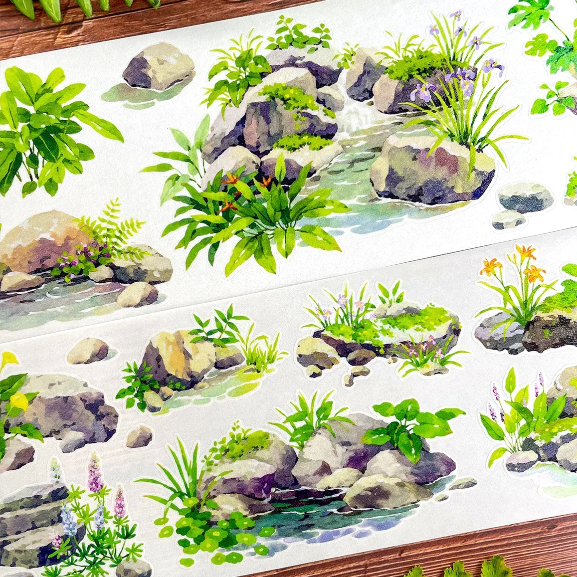 

5,8 ПЭТ лента васи, ландшафтный дизайн, водный камень, дорожка, журнал, пейзажная архитектура