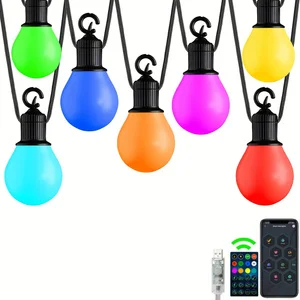 Smart LED Bulb String Light 10/25/50 Bulbs USB Powered APP&Remote Control Christmas Room Outdoor Garden Decor LED Garland Lamp