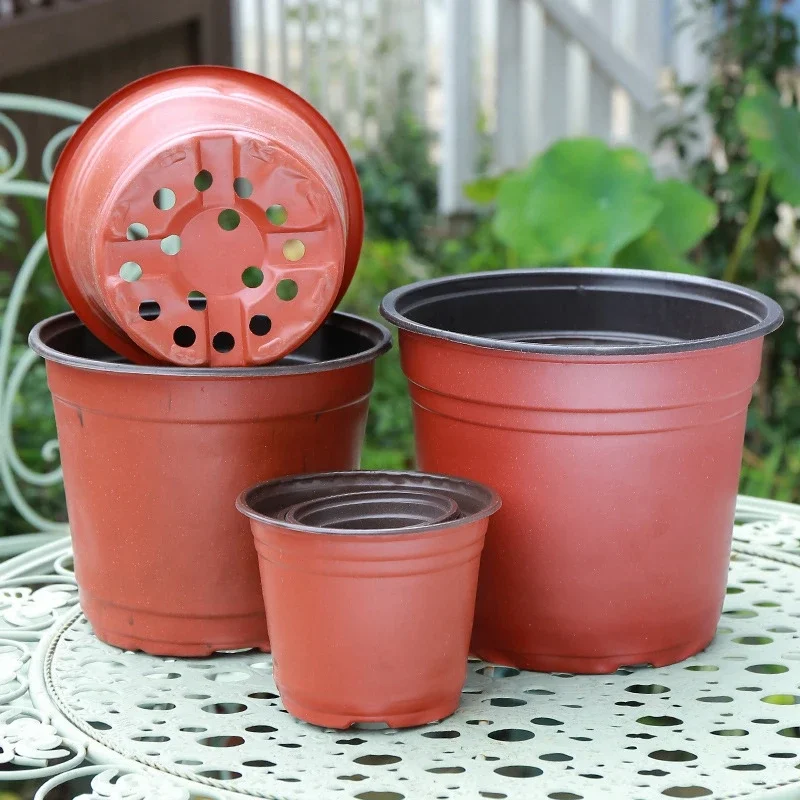 plant fertilizer sticks SimplyGro Fertilizer Spikes for Trees & Shrubs