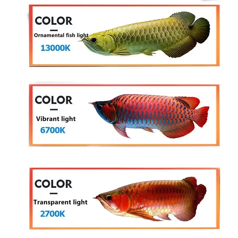 Mayin Brand Red Arowana Grilled Color Lamp 2700K Aquarium Universal