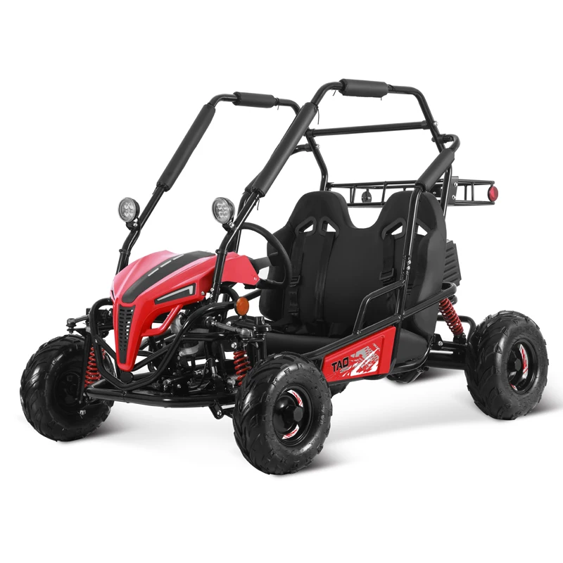 Tao Motor 2025 New 2 Seat Chain Drive Electric UTV Electric Go Kart for Kids