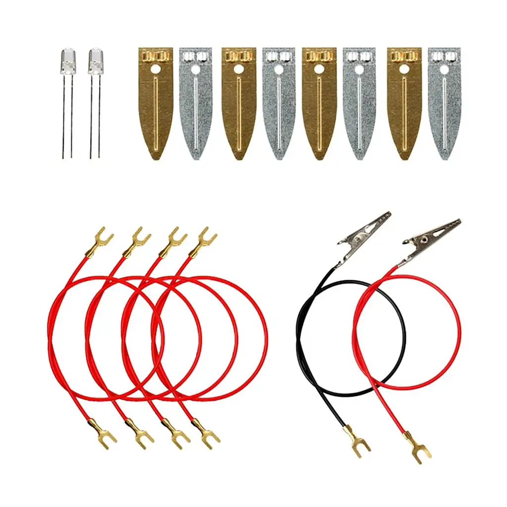 Kit scientifici Set Fruit Power Generation Esperimenti scientifici Giocattoli educativi
