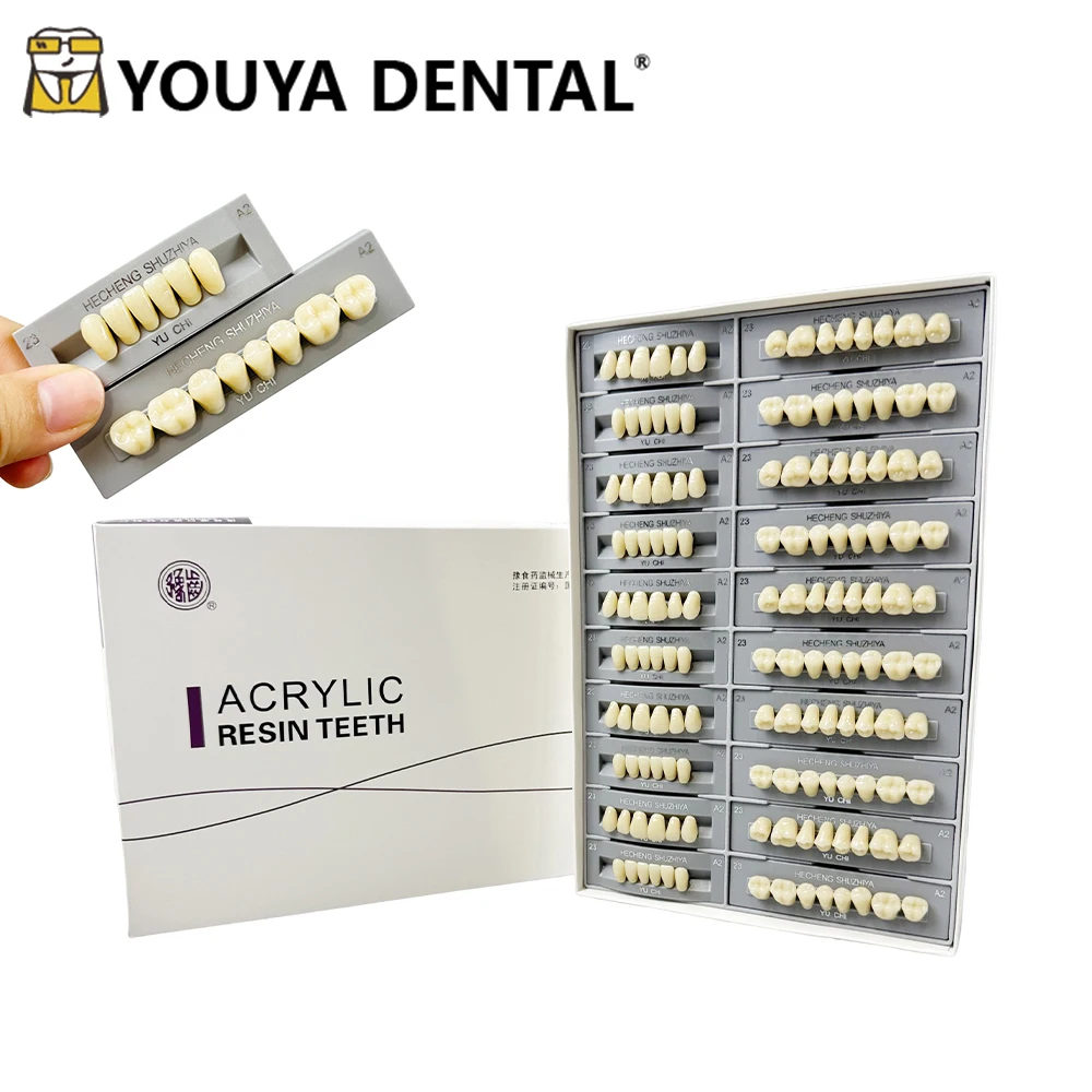 140pcs/box Dental Teaching Model Synthetic Resin Teeth Acrylic A2 Artificial Preformed Denture Teeth Upper and Lower Model