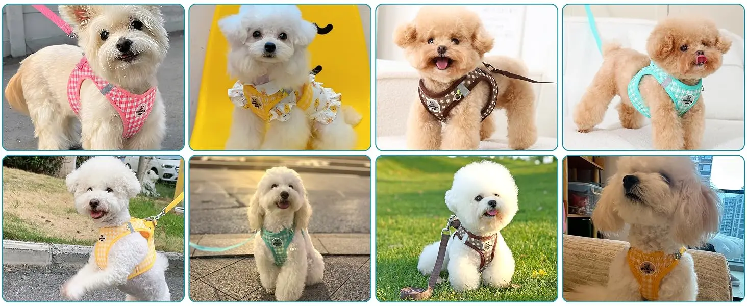 https://ae-pic-a1.aliexpress-media.com/kf/Sf1b3f8f64c6d4c958f570251802372c4h.jpg?width=1464&height=600&hash=2064