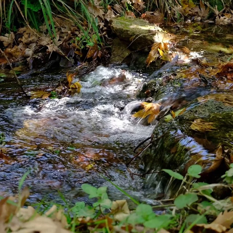 

MJX JJRC 1:14 1:16 14301 14302 14303 Металлический аксессуар для обновления автомобиля с дистанционным управлением, 4 шт., алюминиевый сплав, шестиугольный разъем 12 мм