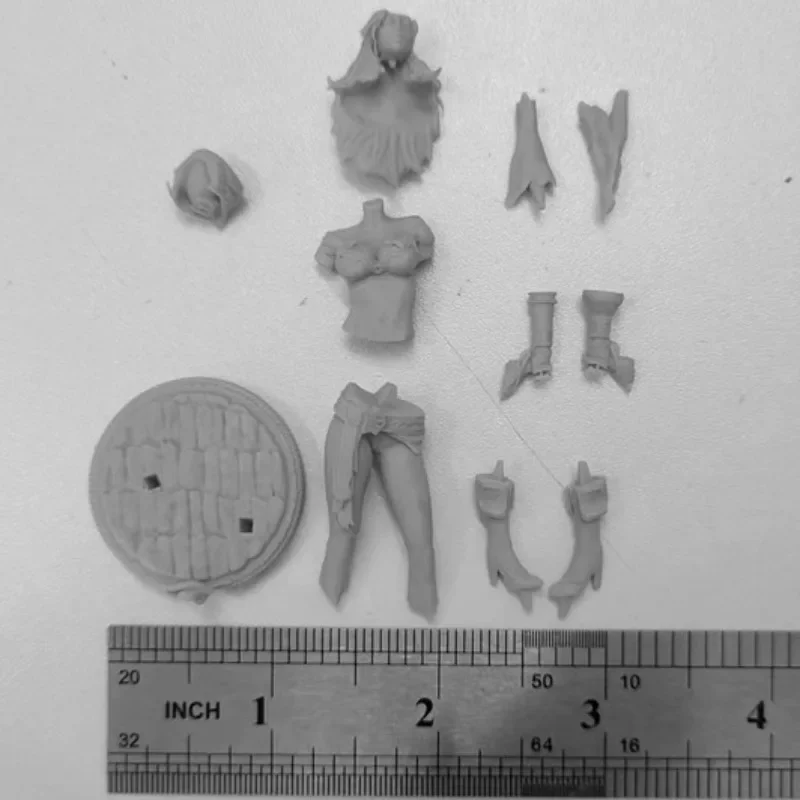 1/24 Hobby Miniature Resin Figure Model Kit Female Pirate Captain Miss Fortune Unassembled and Unpainted DIY Toys 3D printing