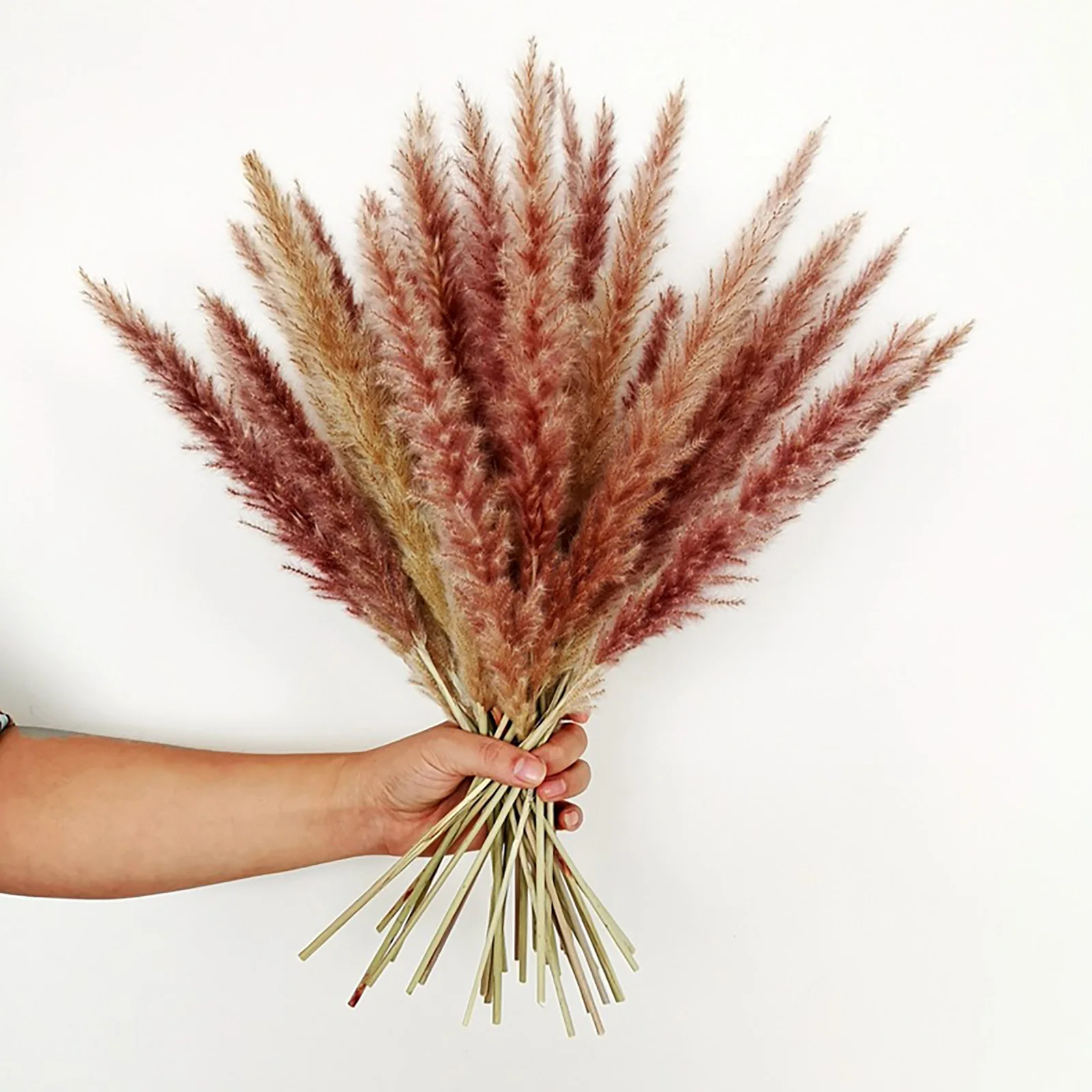 Kunstbloem Pampas Gras Gedroogde Planten Natuurlijke Huisdecoratie Huishouden Kruidenboeket Voor Bruiloft Net Rood Klein Riet