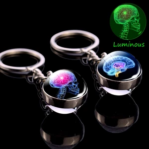 Heller Schädel Schlüsselbund Anatomie Schlüsselbund EKG Herzhirn Luminosa Edelstahlglaskugel 8 Hauptverkäufe Heart Keychain Anatomical - №5