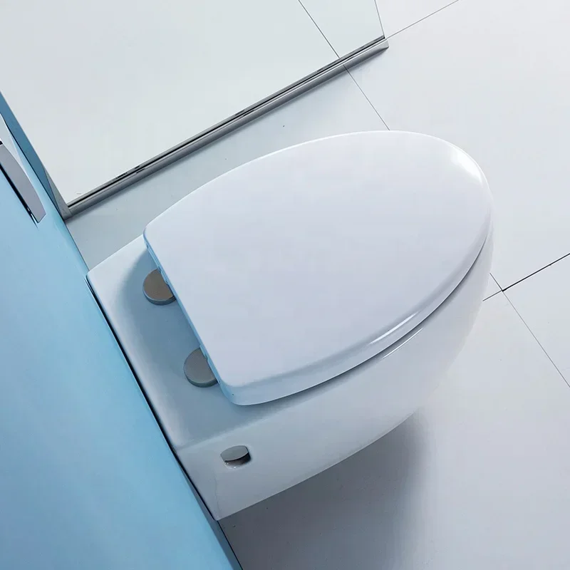 Turkish Wall Hung Mounting Commode Bathroom Complete Toilet Bowl