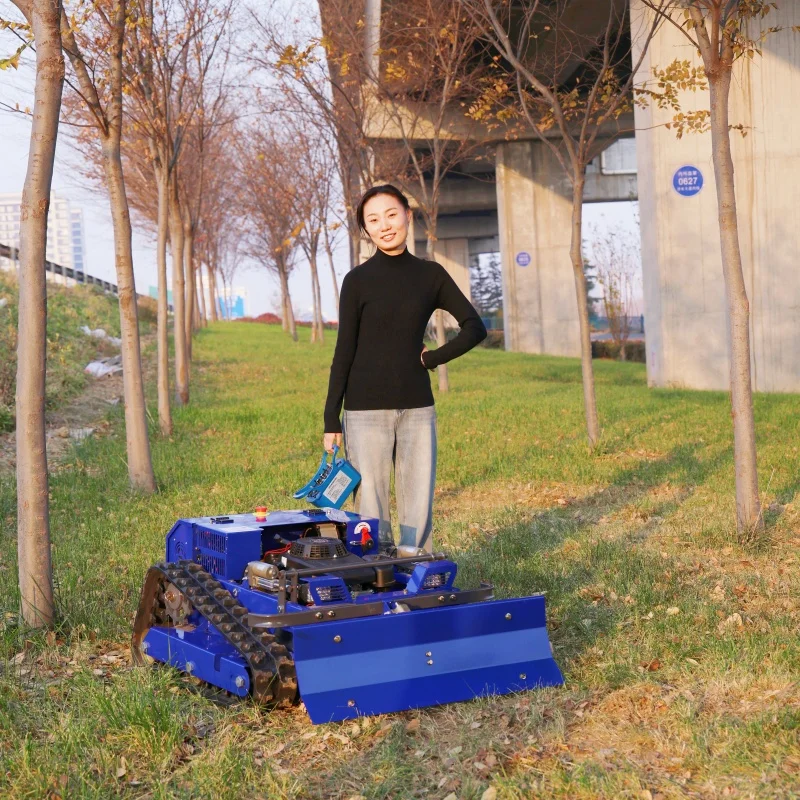 

Индивидуальный мощный двигатель для газонокосилок с сертификацией CE/EPA, напрямую от производителя для семейных ферм.