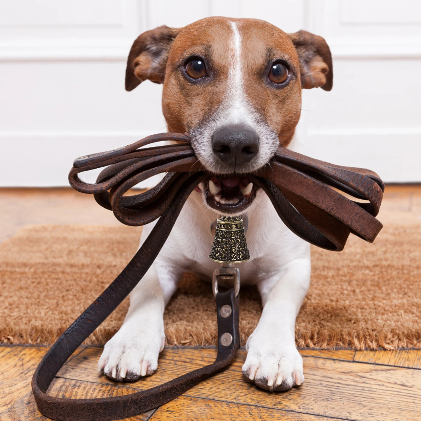 

10 Pcs Retro Pet Bell Necklace Decorative Cat Bells Vintage for Animals Small Craft