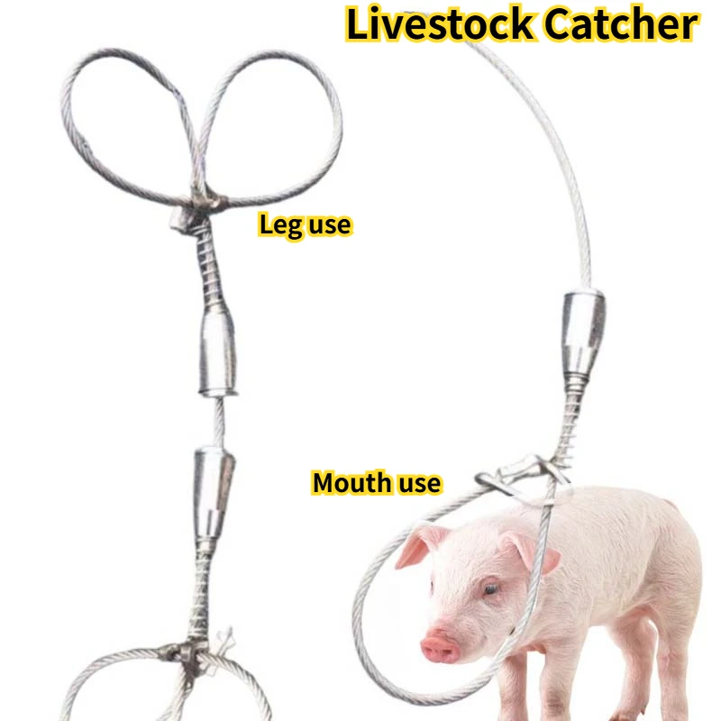 Harmless Pig Catcher Adjustable Labor-saving Pig Holder Catcher Safe Corrosion Resistant Stainless Snare Pig