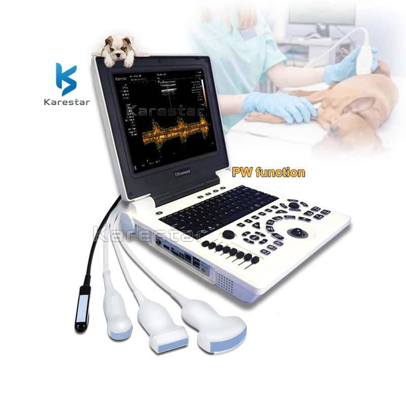 12.1 Inch Animal Use Digital Cardiac 3D PW Ultrasound Scanner Portable Ultrasound Machine