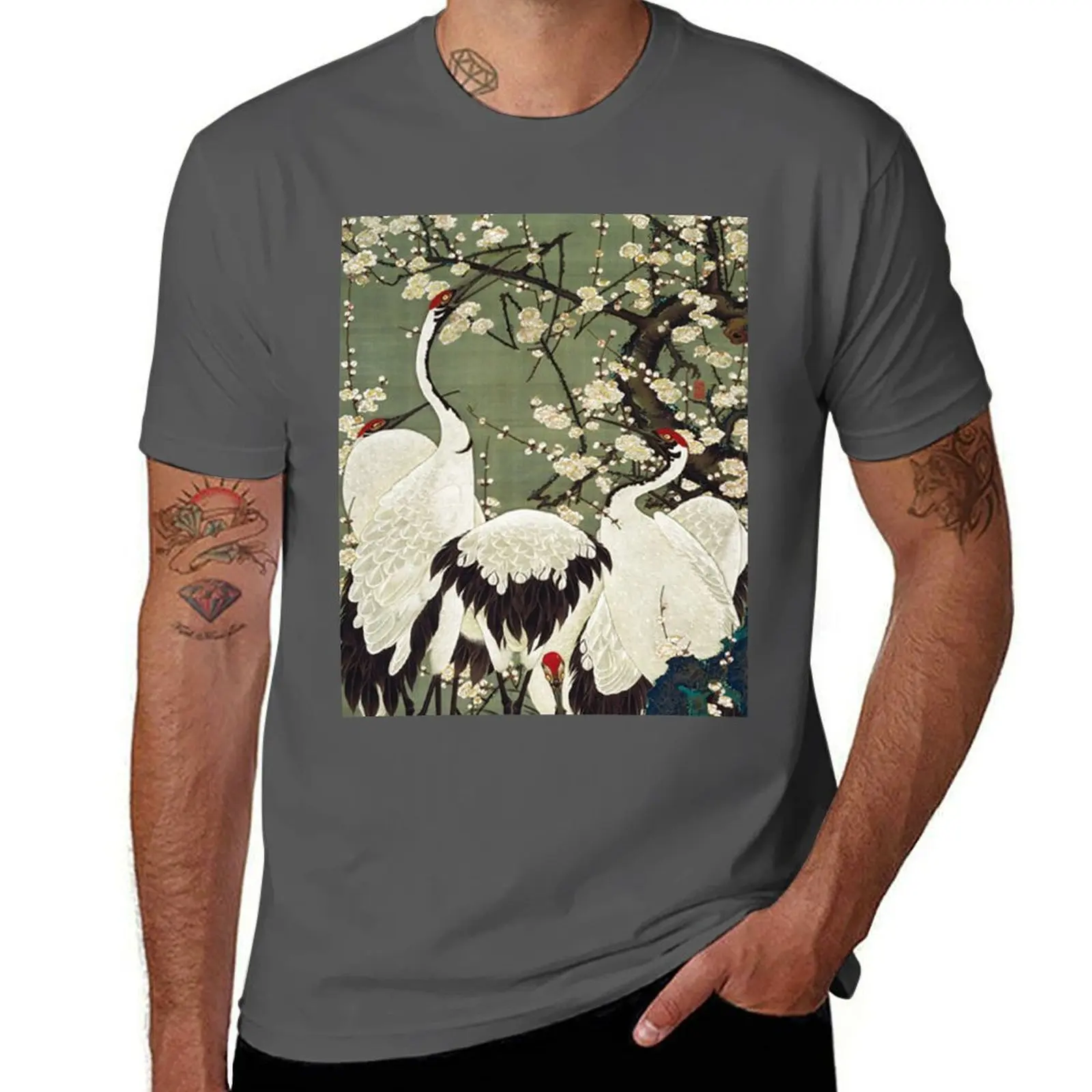 

Favourite Artist - Plum Blossoms and Cranes - Ito Jakuchu T-Shirt Comfortable Daily Wear Tee