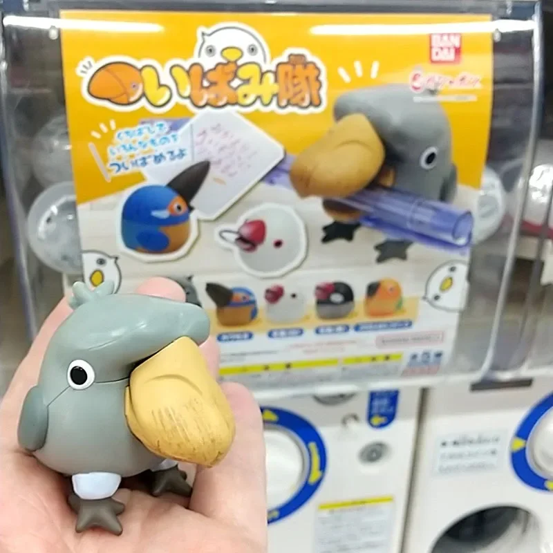 BANDAI Japan Original Kawaii Gashapon Figure Anime Bird Shoebill Parrot Figurine Cute Capsule Toys Kids Gift