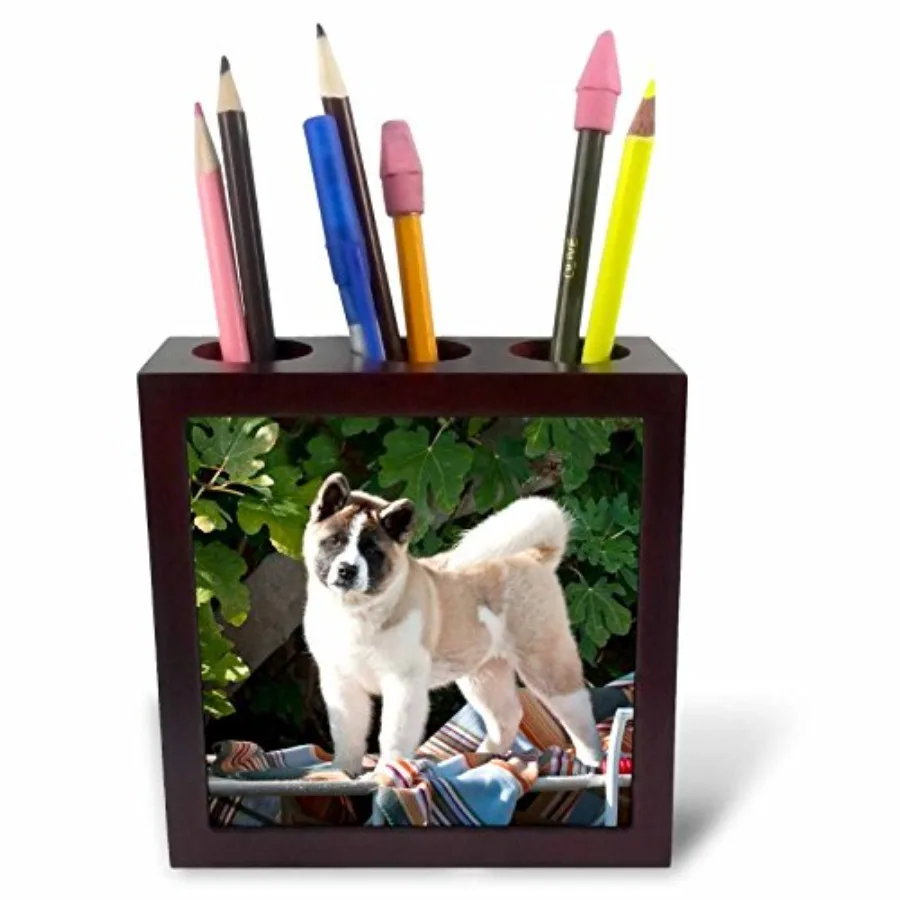 

ph_88763_1 Собака породы акита с пледом и игрушкой - US05 ZMU0038 - Zandria Muench Beraldo - Подставка для ручек в виде плитки, 5 дюймов