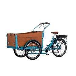 Bakfiets Family Use 3 Wheel Electric Baby Cargo Bike Cheap Tricycle Adult