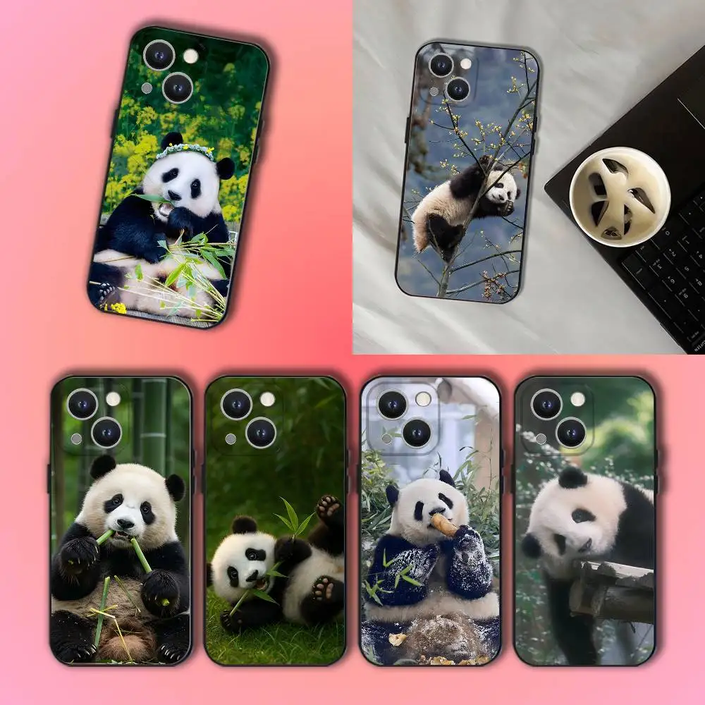 

Animal Panda Fubao Phone Case For iPhone 17,16,15,14,13,12,11,Pro,Max,Plus Black Soft Cover