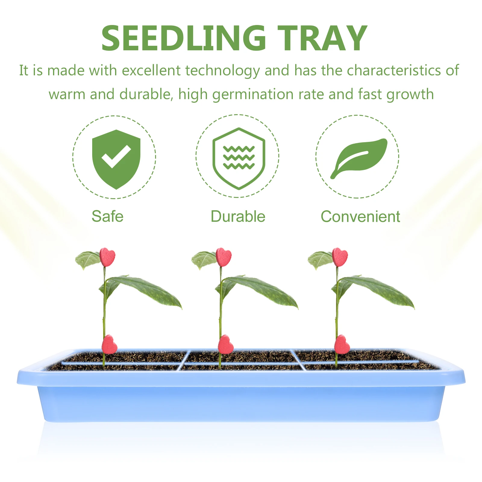 

2 Sets Seedling Tray Sprout Growing Trays Sprouting Bean Sprouts Blue Wheatgrass