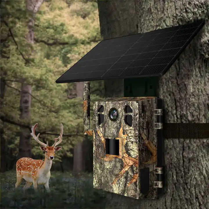 الصيد البرية 4G LTE كاميرا تعقب SIM اللاسلكية توهج للرؤية الليلية كاميرا خضراء لوحة طاقة شمسية كاميرا شبكة مراقبة للبعث في الهواء الطلق H6 #3