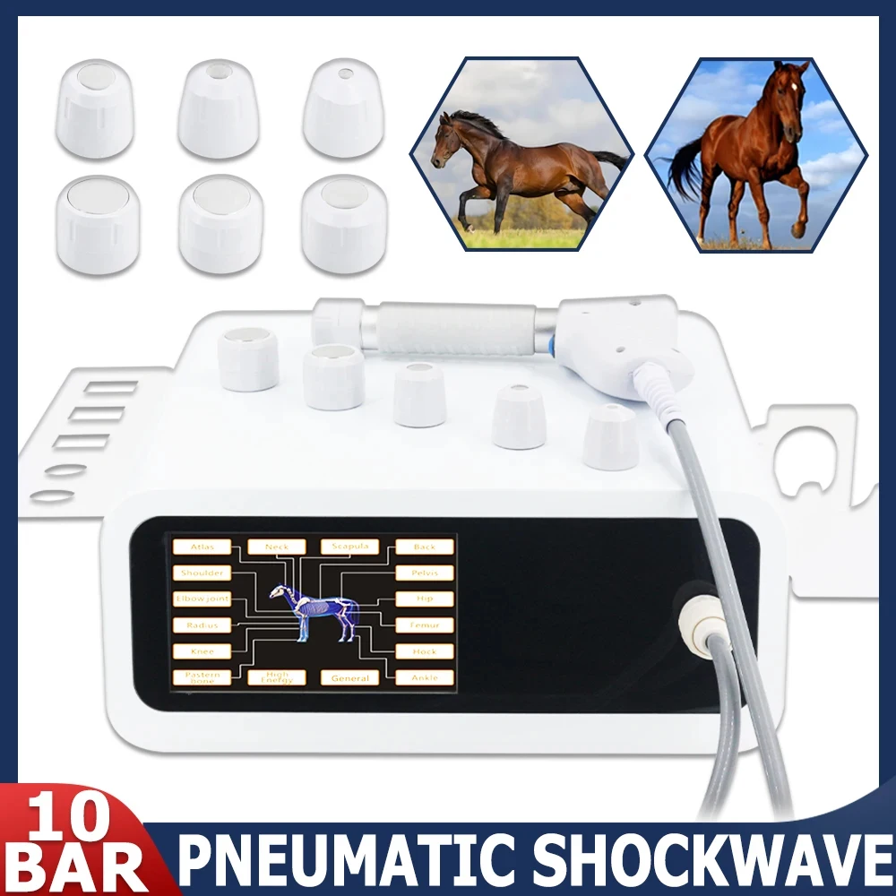 

10Bar Animals Shockwave Therapy Machine For Relieve Joint Pain Massage Relaxation Pneumatic Shock Wave Massager 2026 Hot Sale