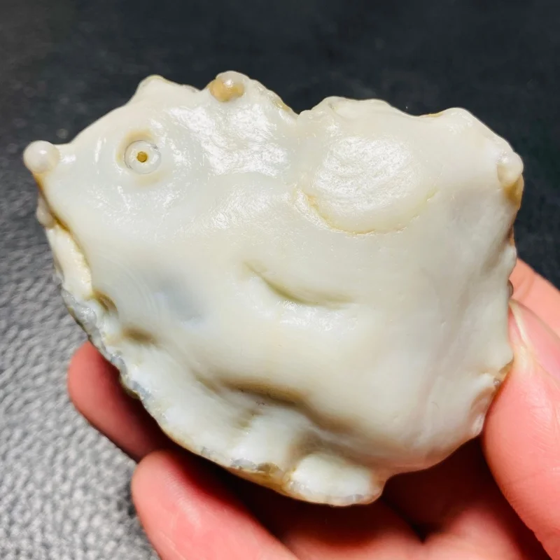 

Natural raw stone Alxa white tubular agate small hedgehog mineral specimen for collection and home decoration
