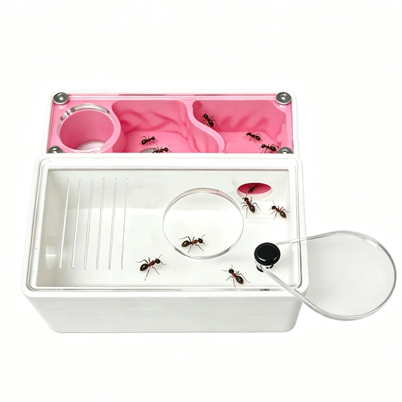 3D-gedrucktes Ameisenfarm-Set für Ameisenköniginnen, Zubehör für Anfänger-Ameisenhaltung, Ameisenhaus, geeignet für kleine Ameisenarten, Haustier-Ameisenberg – Detail 1